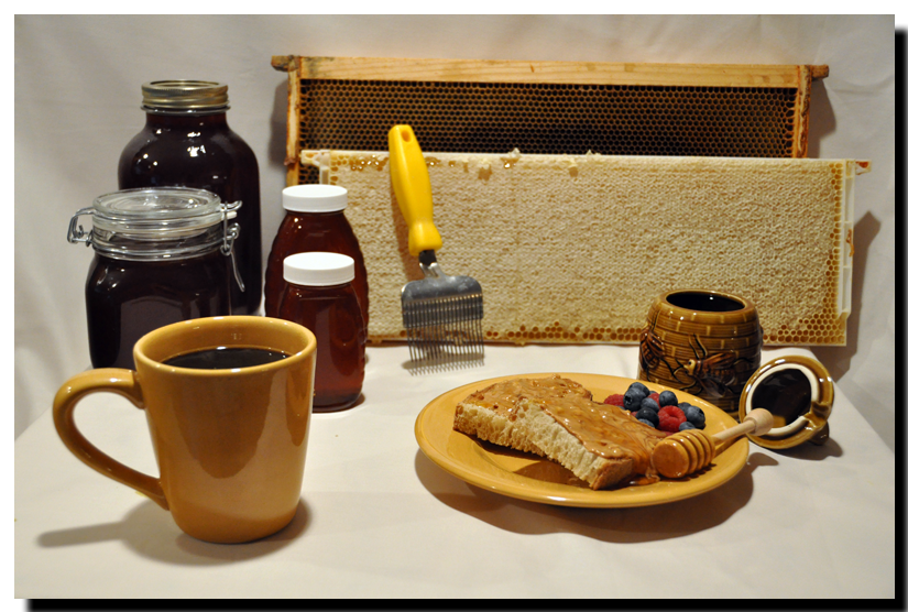 breakfast-of-championswide