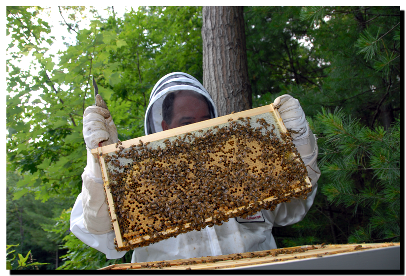 pulling-a-framewide